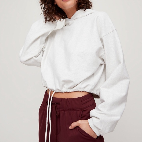Aritzia Sweaters - The Constant Ola Hoodie